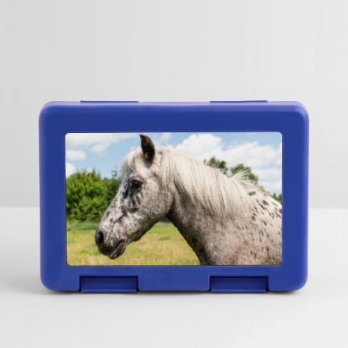 Broodtrommel met ponythema bij de ponyranch van Land van Bartje.