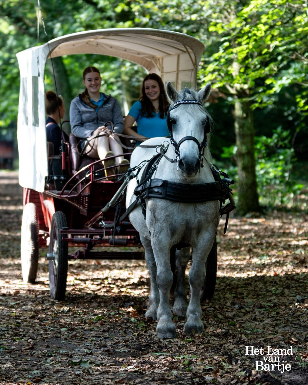 Gezin maakt een rit met de huifkar op vakantiepark in Drenthe.