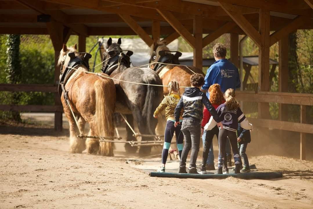 Paardendag bij ponyranch activiteiten op Land van Bartje.