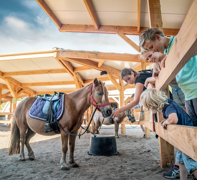 Gezin ontmoet een pony in ponyranch op Land van Bartje in een natuurlijke omgeving.