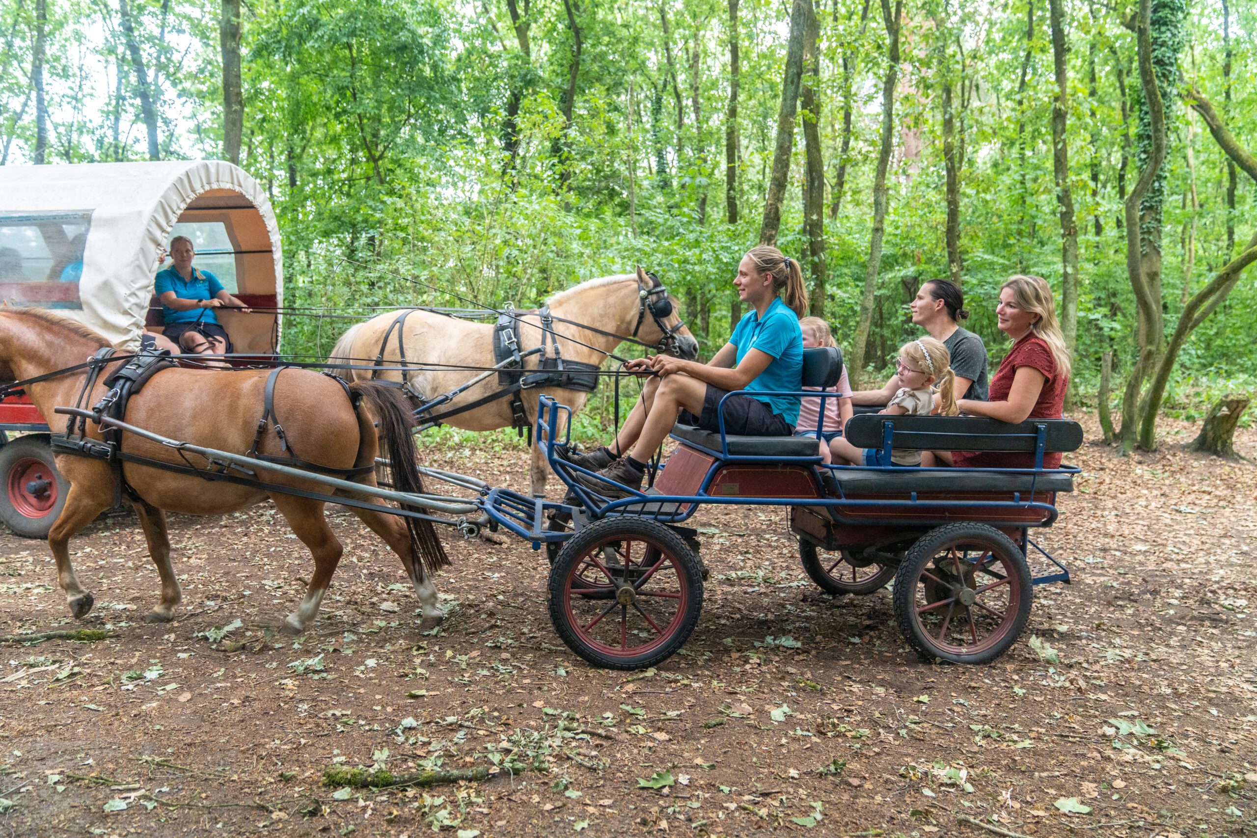 Ponykoets bij ponyranch activiteiten op Land van Bartje.