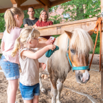 Ponyranch Land van Bartje met kinderen die pony borstelen bij de stal.
