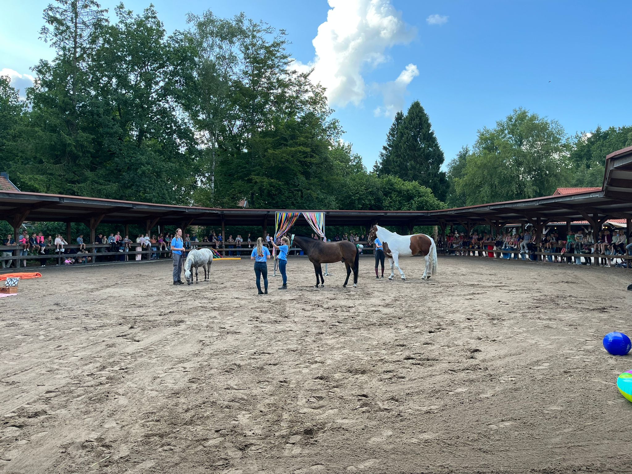 Land van Bartje activiteiten op het park
