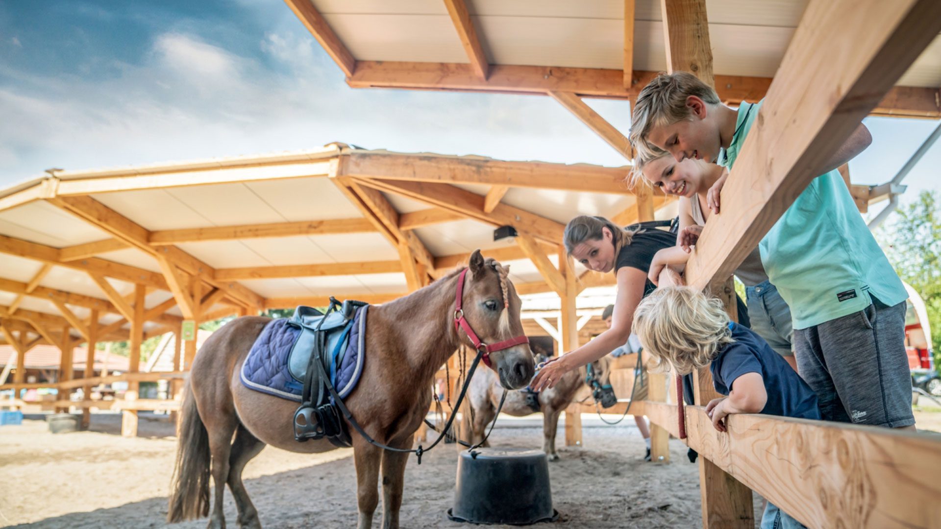 Pony in de ponyranch van Het Land van Bartje met bezoekers erbij.