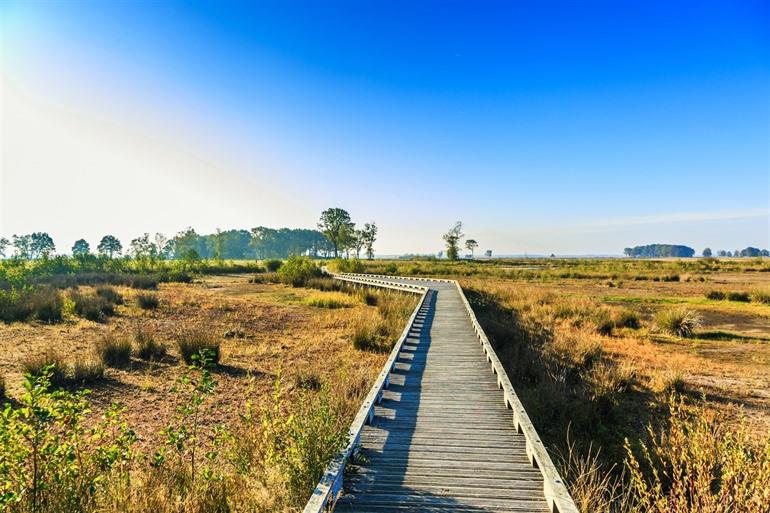 Op vakantie naar Drenthe